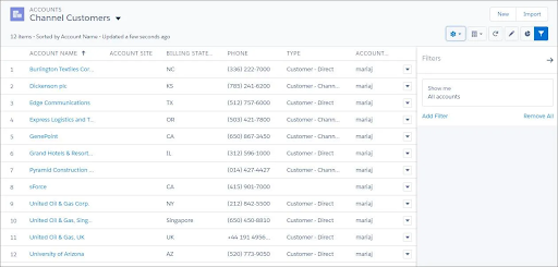 Screenshot of a typical Salesforce list view. Example of Accounts and filtered by Channel Customers.