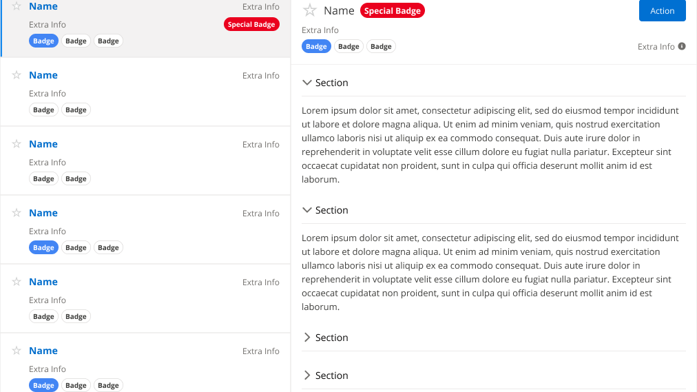 Salesforce record example with Name and Special badges and custom sections